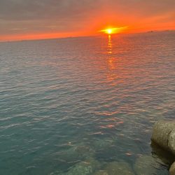 アオリイカ  潮が大事(^｡^)