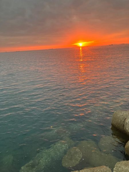 アオリイカ  潮が大事(^｡^)