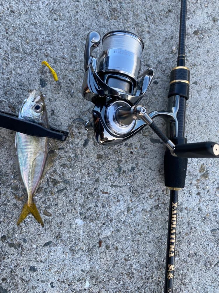 連続デイアジング