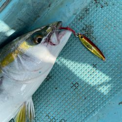 明石沖ジギング