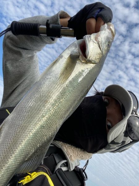 デイシーバス楽しい！