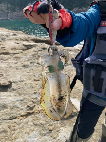 秋のランガンエギング