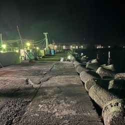 カレイ釣り、太刀魚釣り