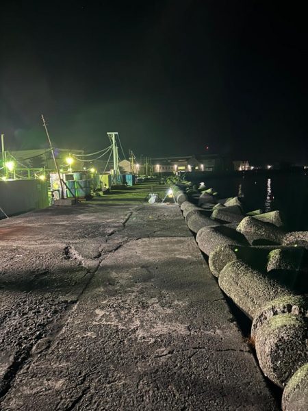 カレイ釣り、太刀魚釣り