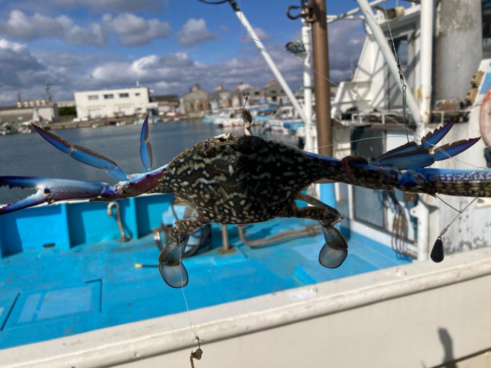 江井ヶ島釣行！