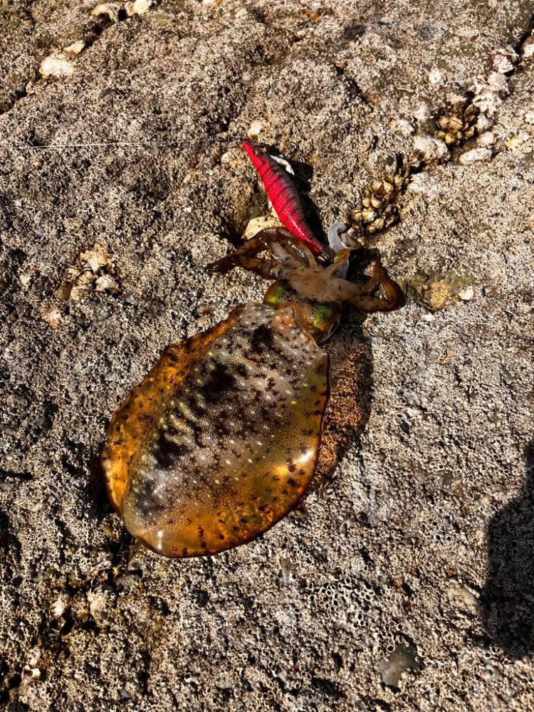 なんだか活性高め⁉︎