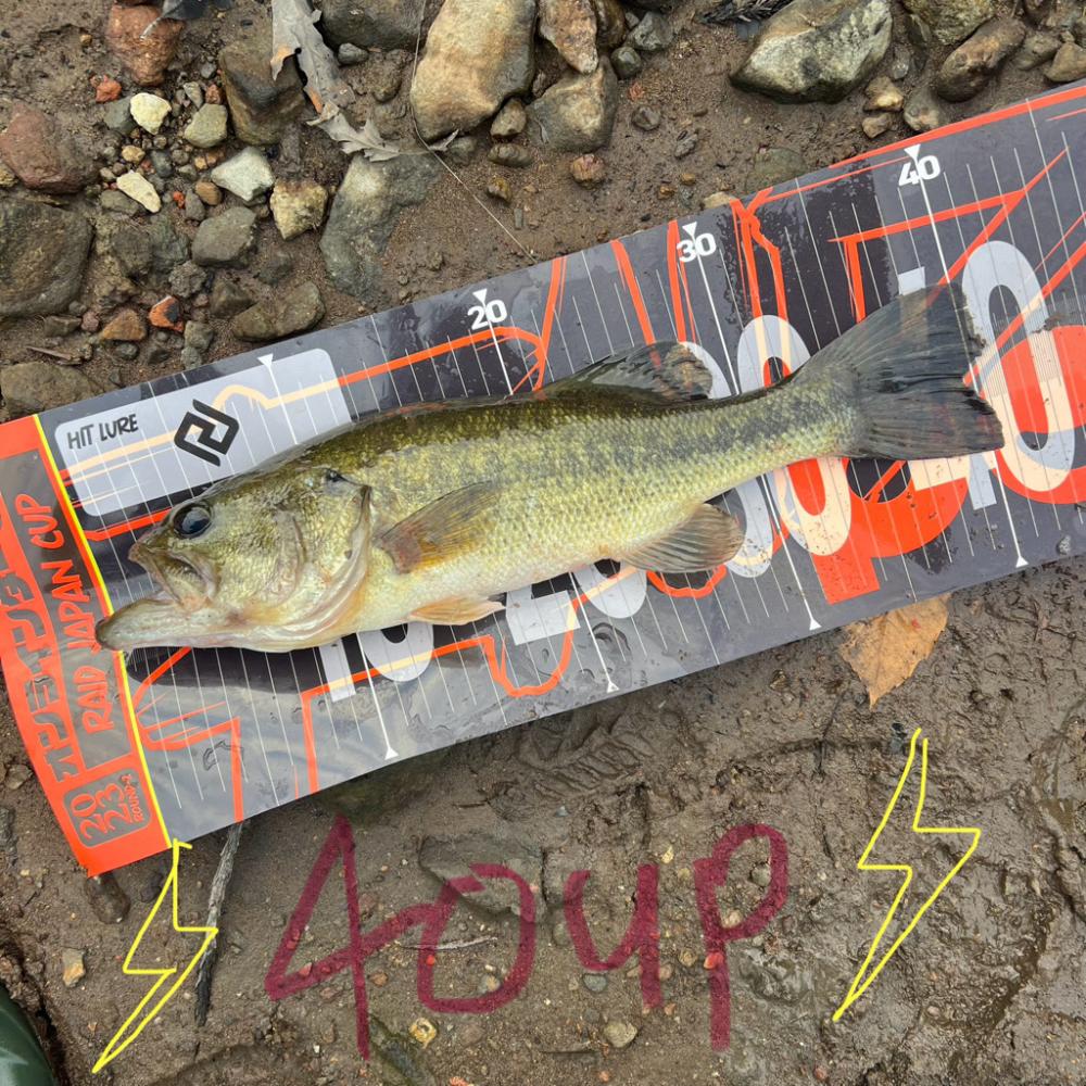 小型バイブ⚡️