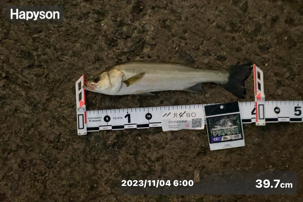 エサ取りの猛攻撃