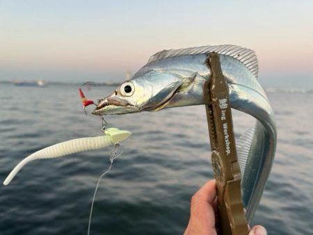 タチウオ釣りは楽しいね