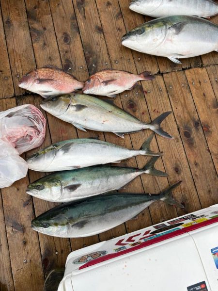 海上釣り堀　辨屋