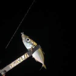 フロートアジング