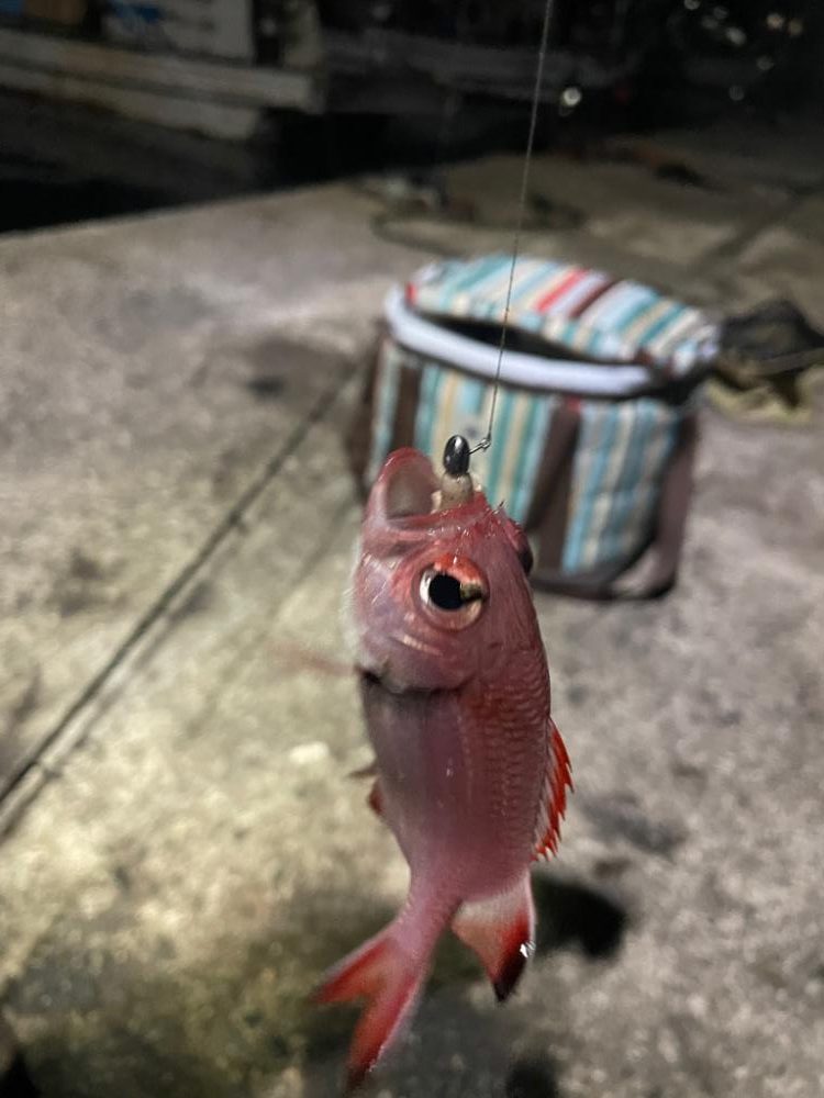 ヤエンのつもりがまさかの