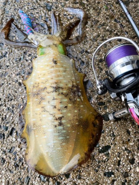 久々の大潮ゲーム