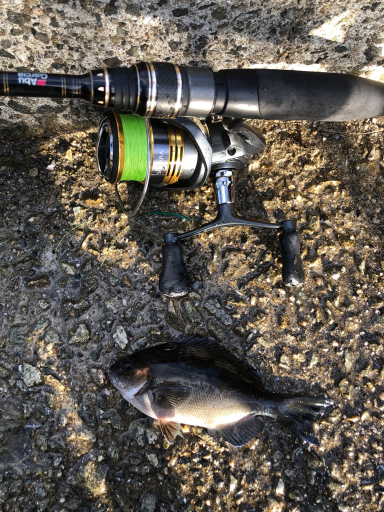 もう冬の海ですか?まったり胴突き