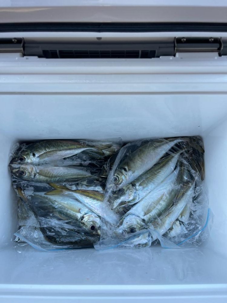 にぎわっていました！