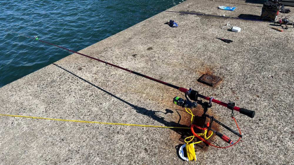 久しぶりのムコイチ