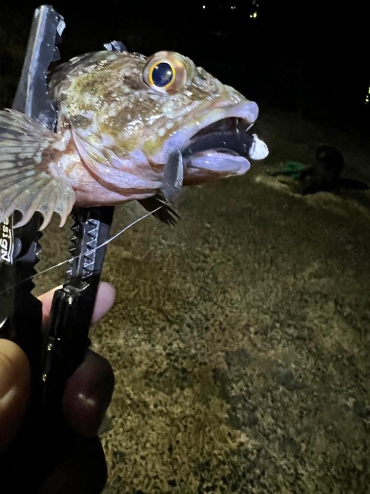 のべ竿 ライトゲーム