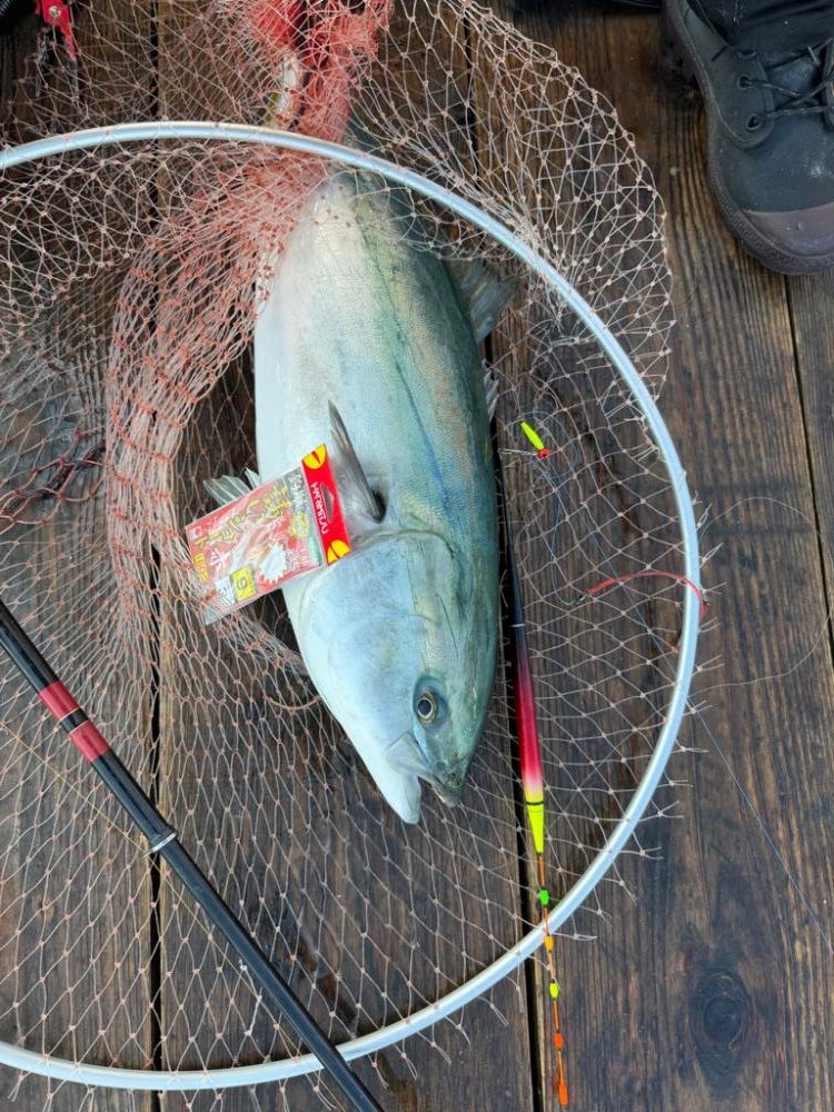 水宝さんで爆釣
