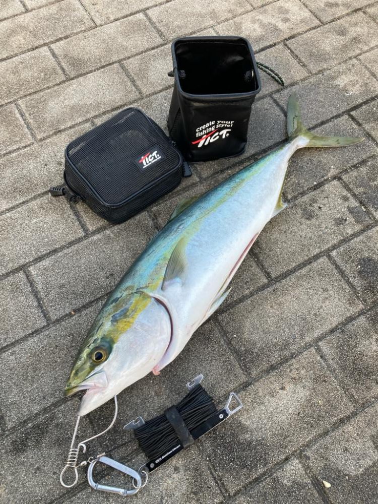 青牙不在。何とかギリメジロ1本。。