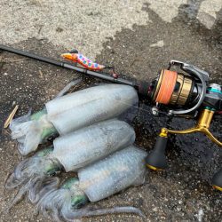 エギングルーティーン!