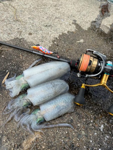 エギングルーティーン！