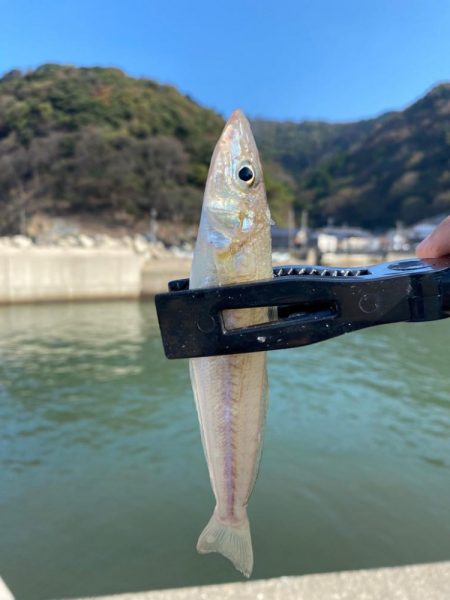 朝からノーターゲット釣行