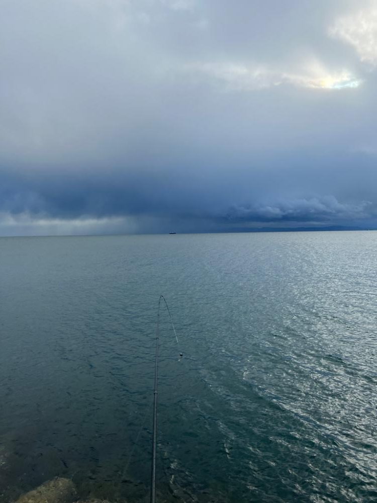 荒天フィッシング