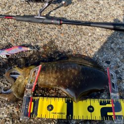 デイエギングでもそこそこの型GET＼(^o…