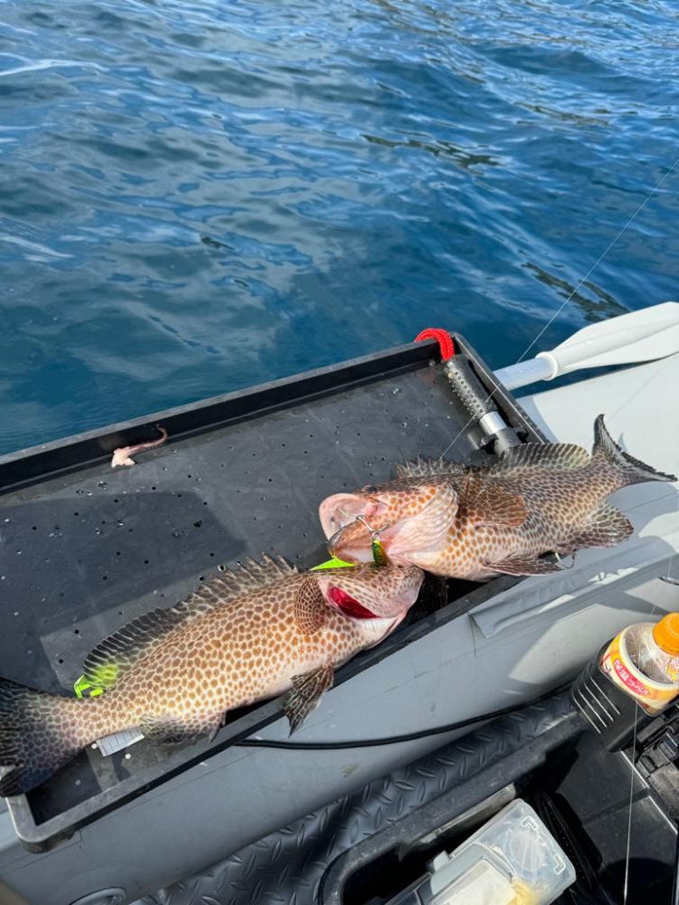 ティップラン&SLJ