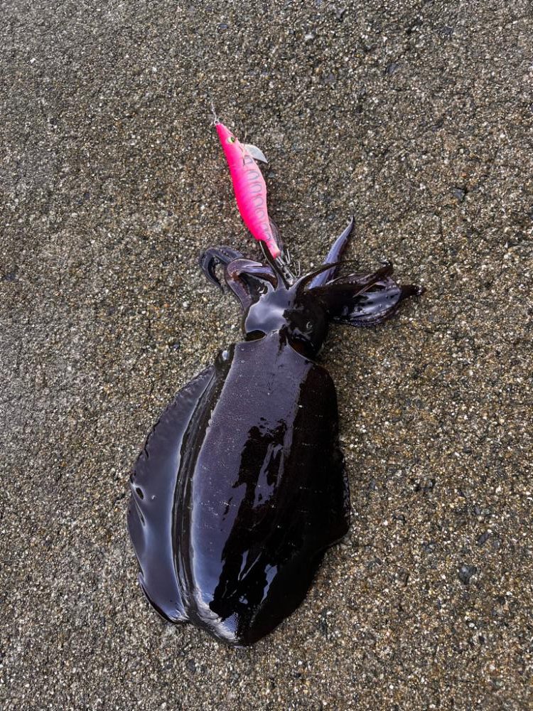 沖の潮目を感じて