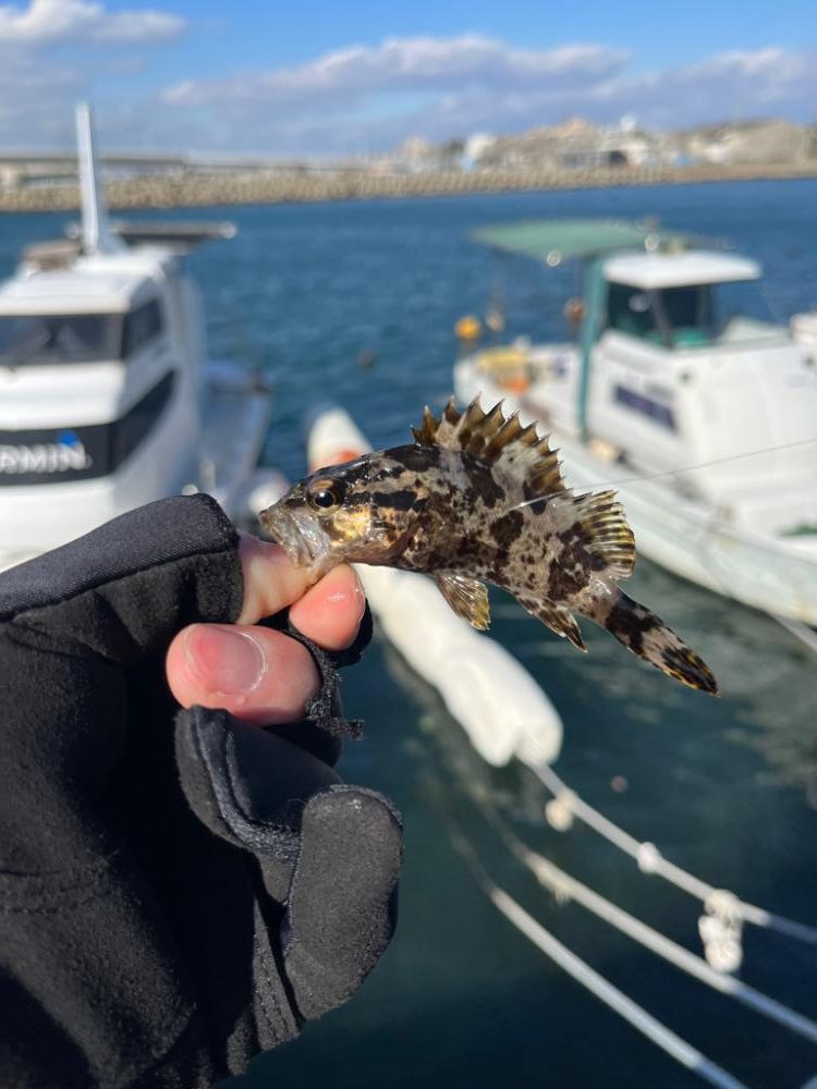 30分デイゲーム