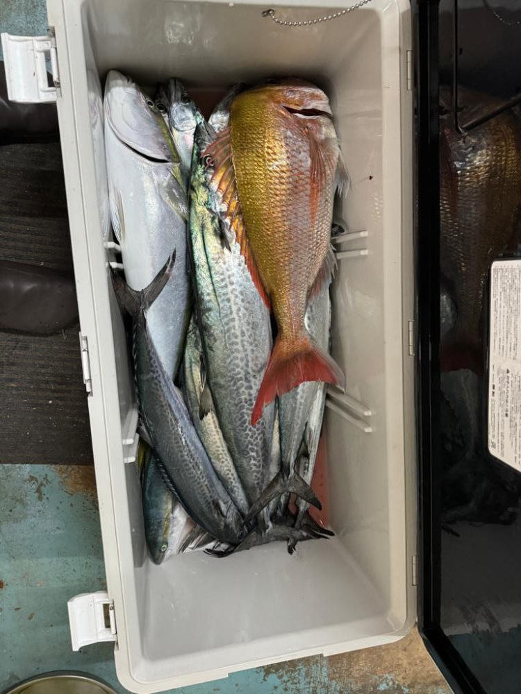 今シーズン初ジギング