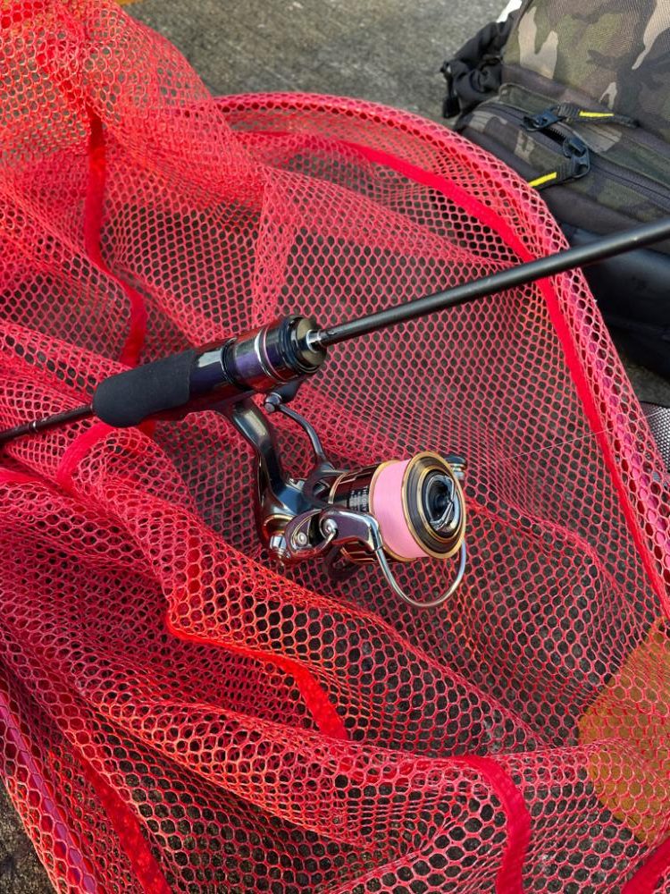 今日も柴山港でアジング