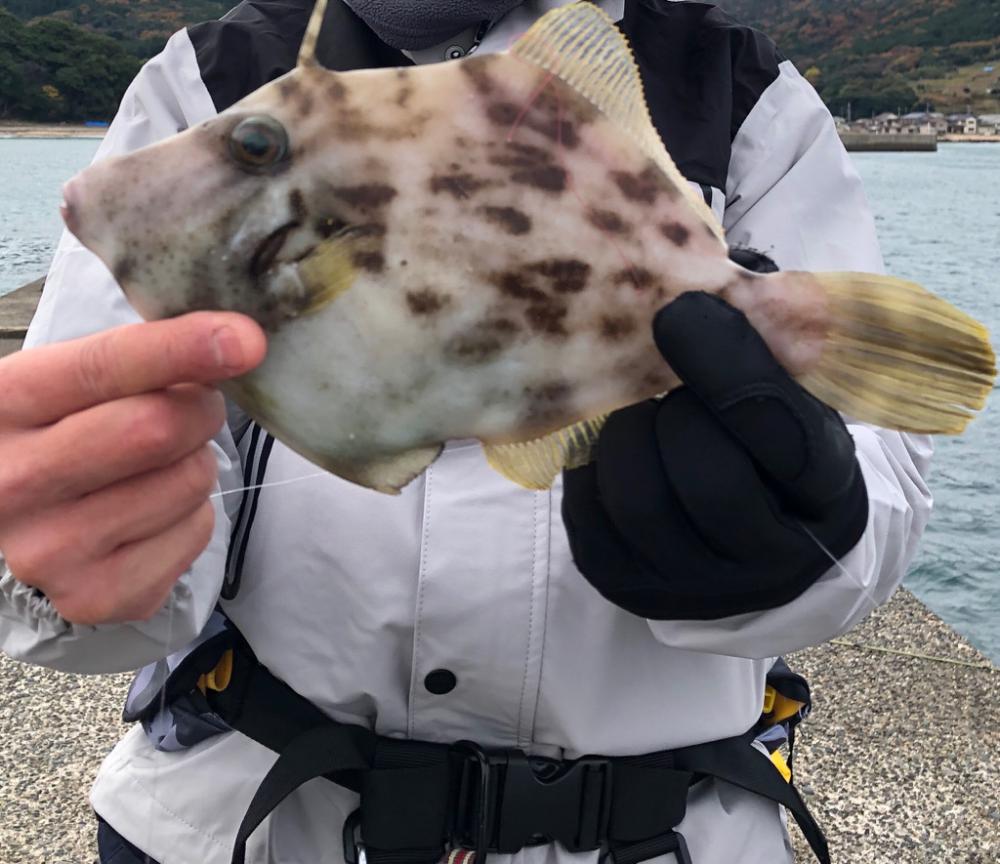 ショアからこの大きさは久々！