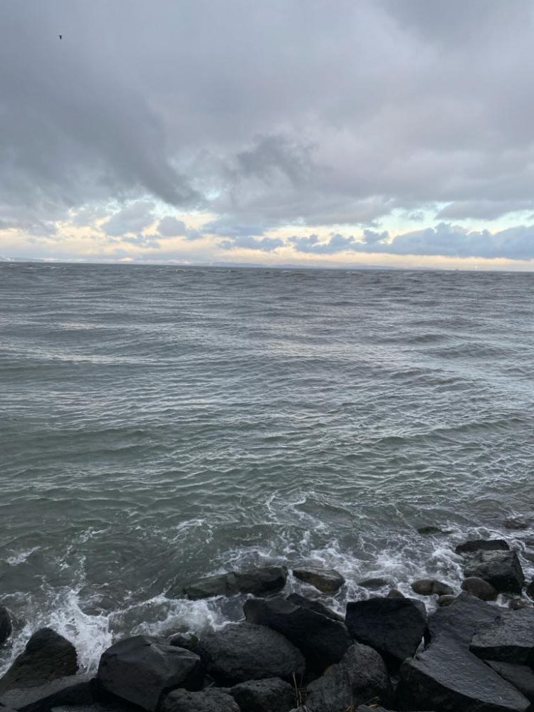 90オーバーのシーバス