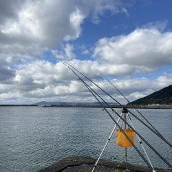 ざぶとんイシガレイ!