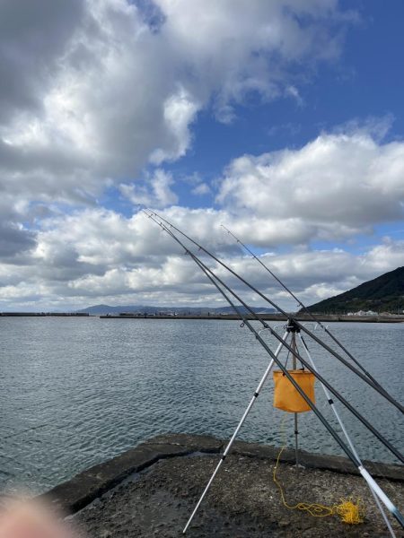 ざぶとんイシガレイ!