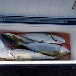 鯛ラバ・ジギング