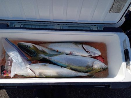 鯛ラバ・ジギング