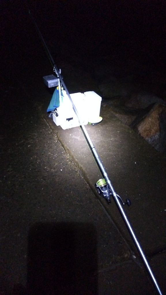 苅屋海岸のキス釣り