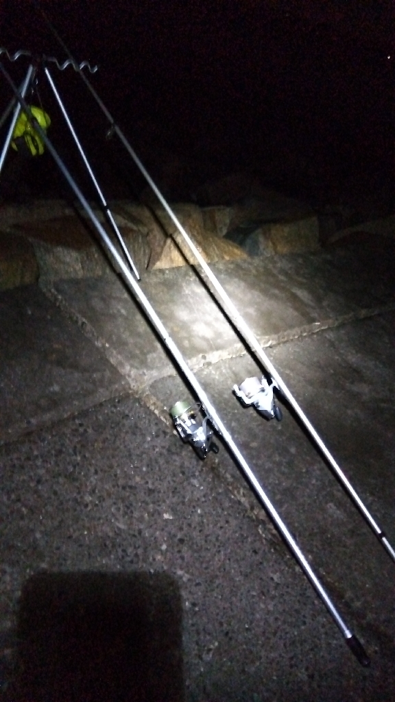 苅屋海岸の投げ釣り