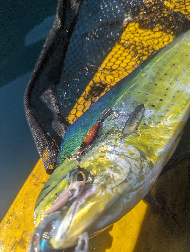 キロタリナーズ