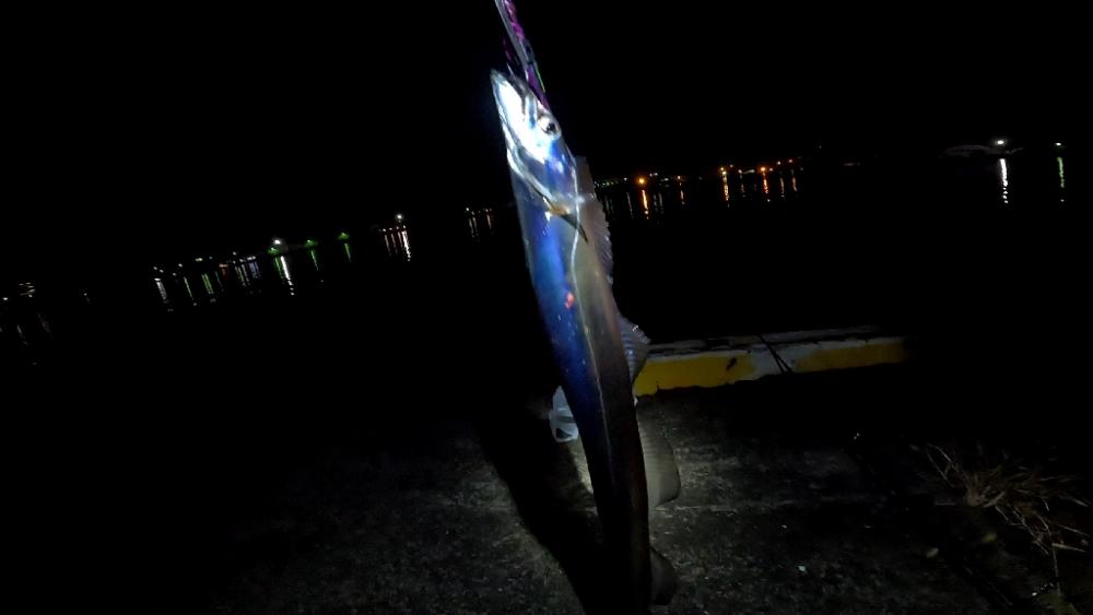 仕事終わり釣行🎣