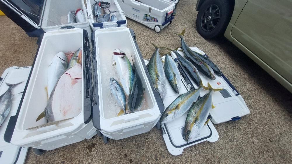 日本海落とし込み