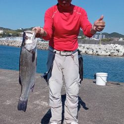 夕暮れのsalt water game