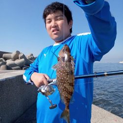 プチファミリーフィッシング GAME