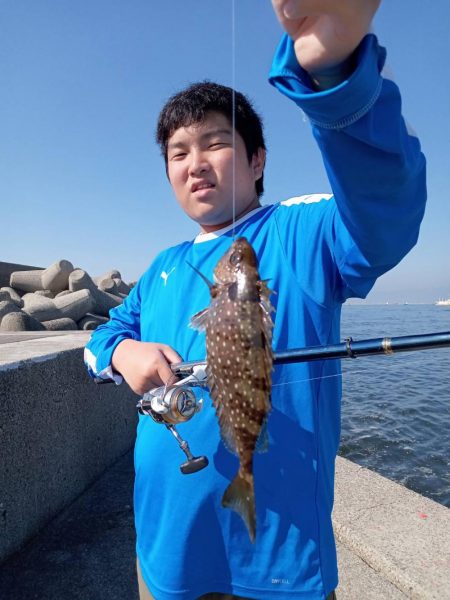 プチファミリーフィッシング GAME