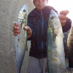 プチsalt water game