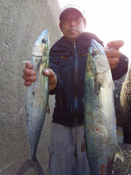 プチsalt water game