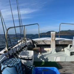 瀬戸内海で初めてカワハギ釣りにチャレンジ